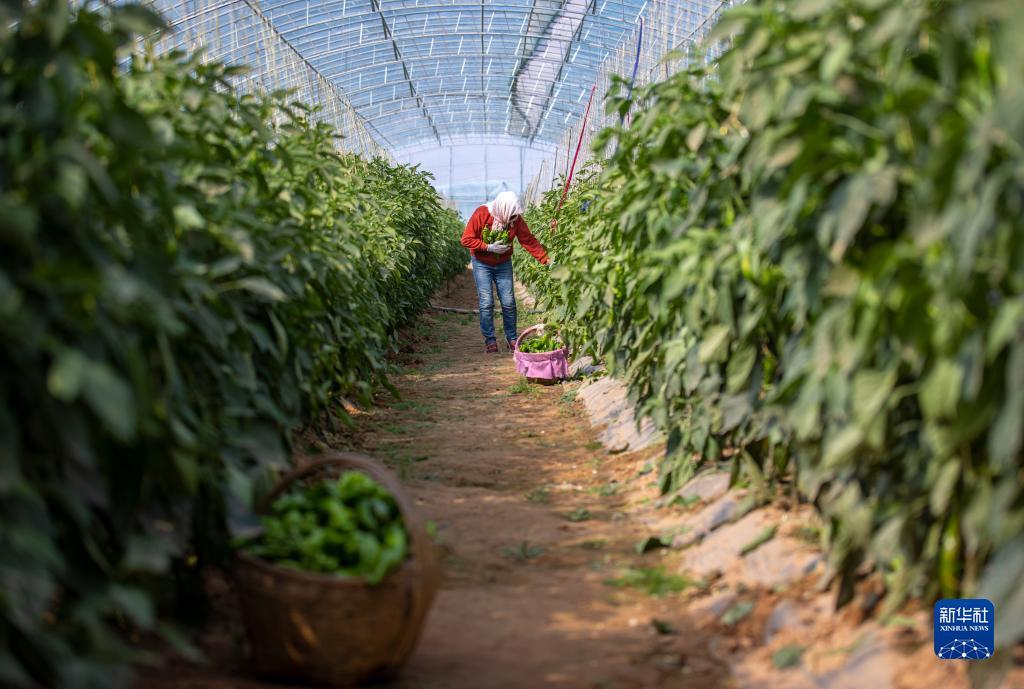 东森游戏平台